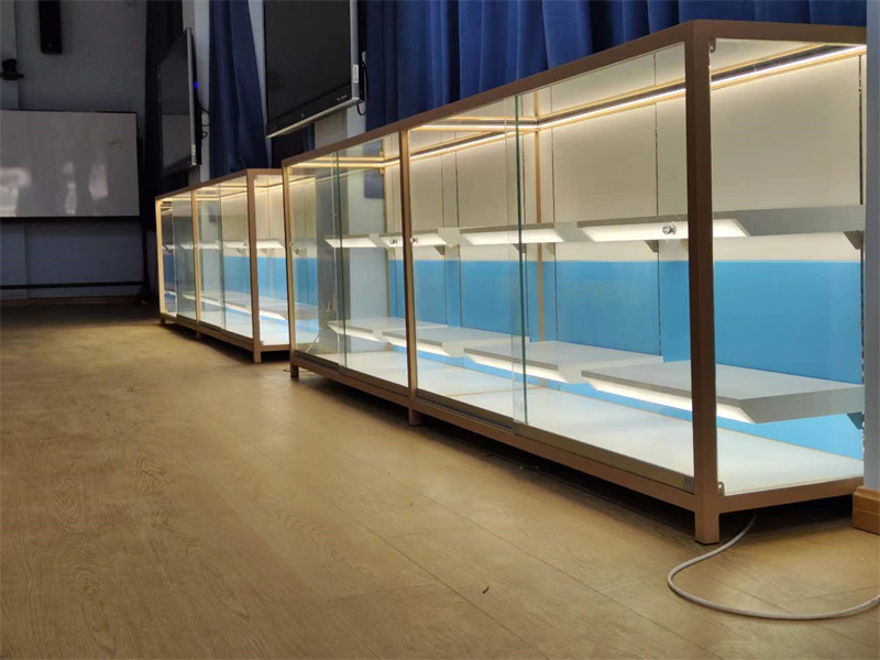 模型展柜 (3)