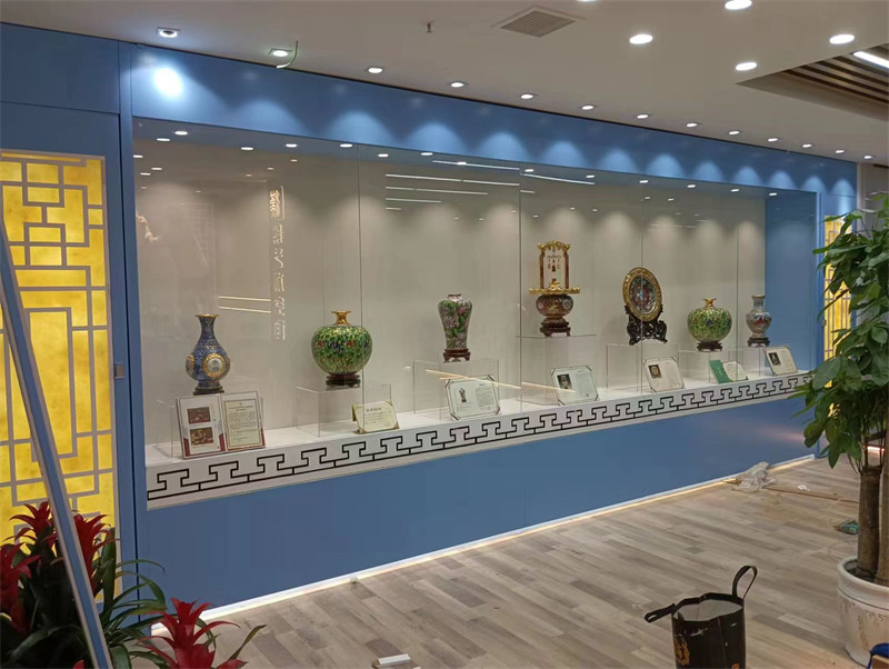 收藏品展柜 (1)