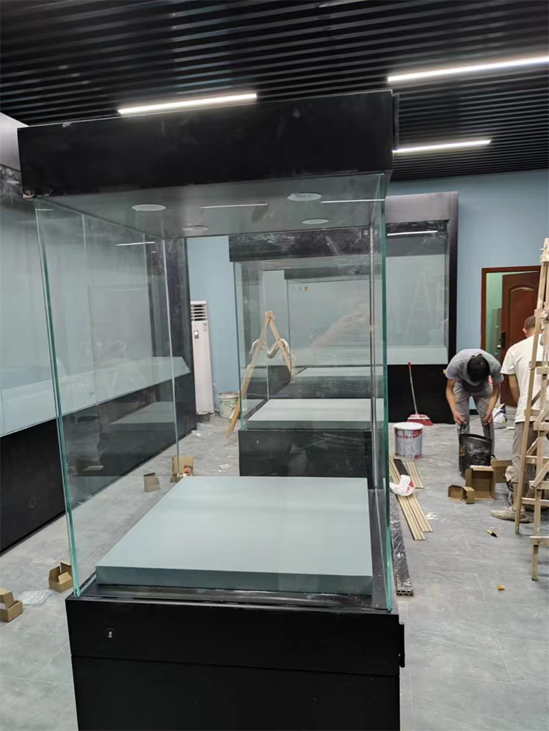 收藏品展柜 (2)